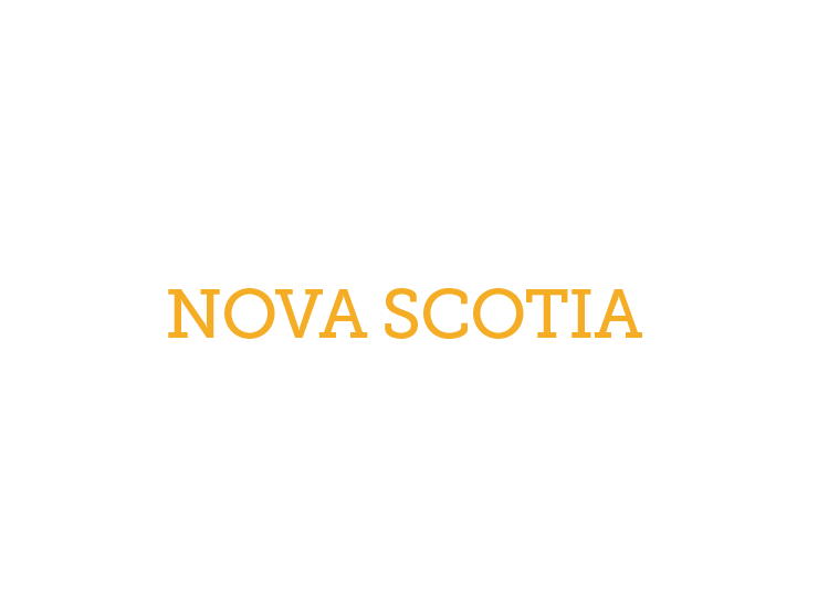 Logo for the Nova Scotia Accessibility Act Review